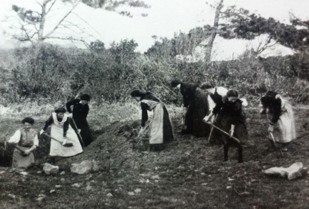 Female patients on medium grade work in the gardens circa 1910.